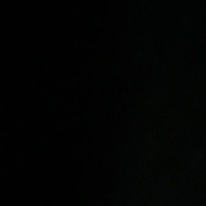 Meet your Posher, Rose